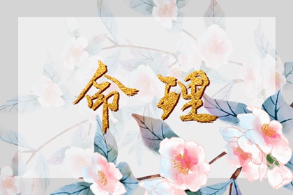 择吉老皇历|老皇历|皇历